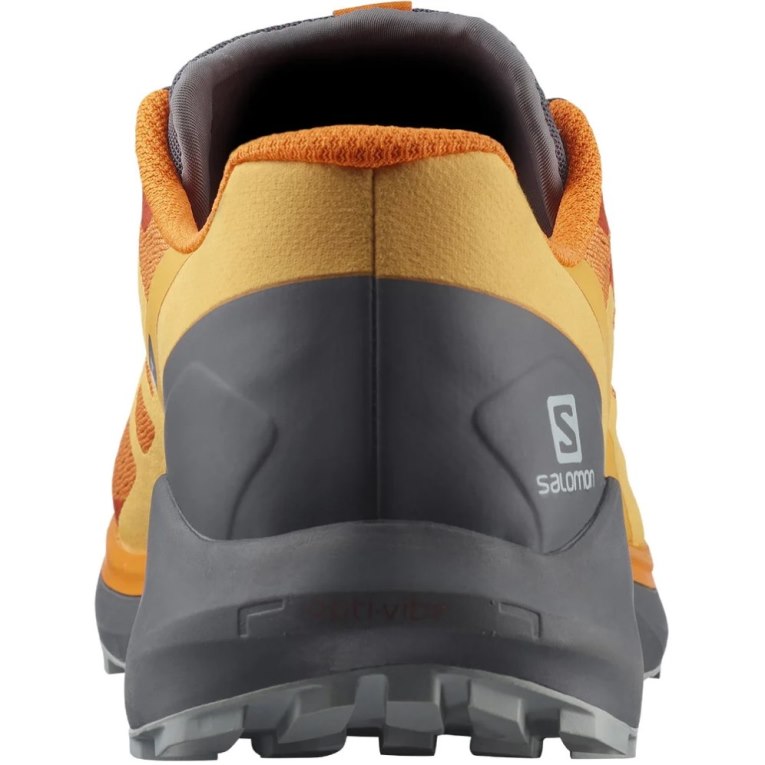 Tenis Para Trail Running Salomon Sense Ride 4 Hombre Naranjas | MX ZDOH641